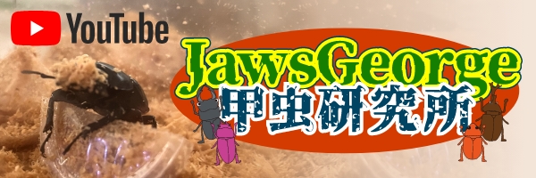 JawsGeorge甲虫研究所