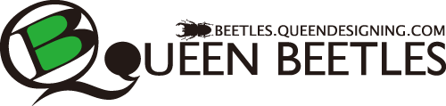 Queen Beetles