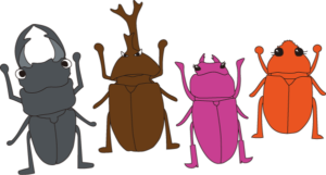 甲虫記録 Queen Beetles